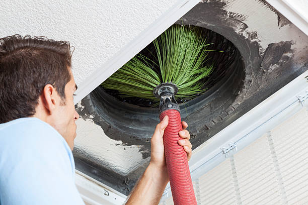 Best General Air Duct Cleaning  in Oldsmar, FL